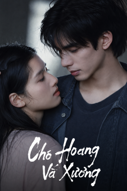 Chó Hoang Và Xương